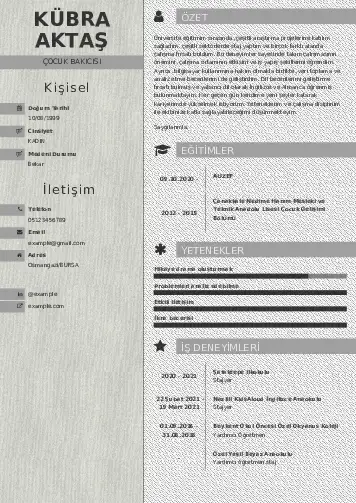 Çocuk Bakıcısı CV Örnekleri cv indir